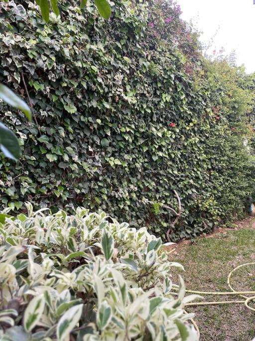 Etage De Villa Avec Jardin, Pres De L'Aireport Et Parking Prive Ariana Extérieur photo
